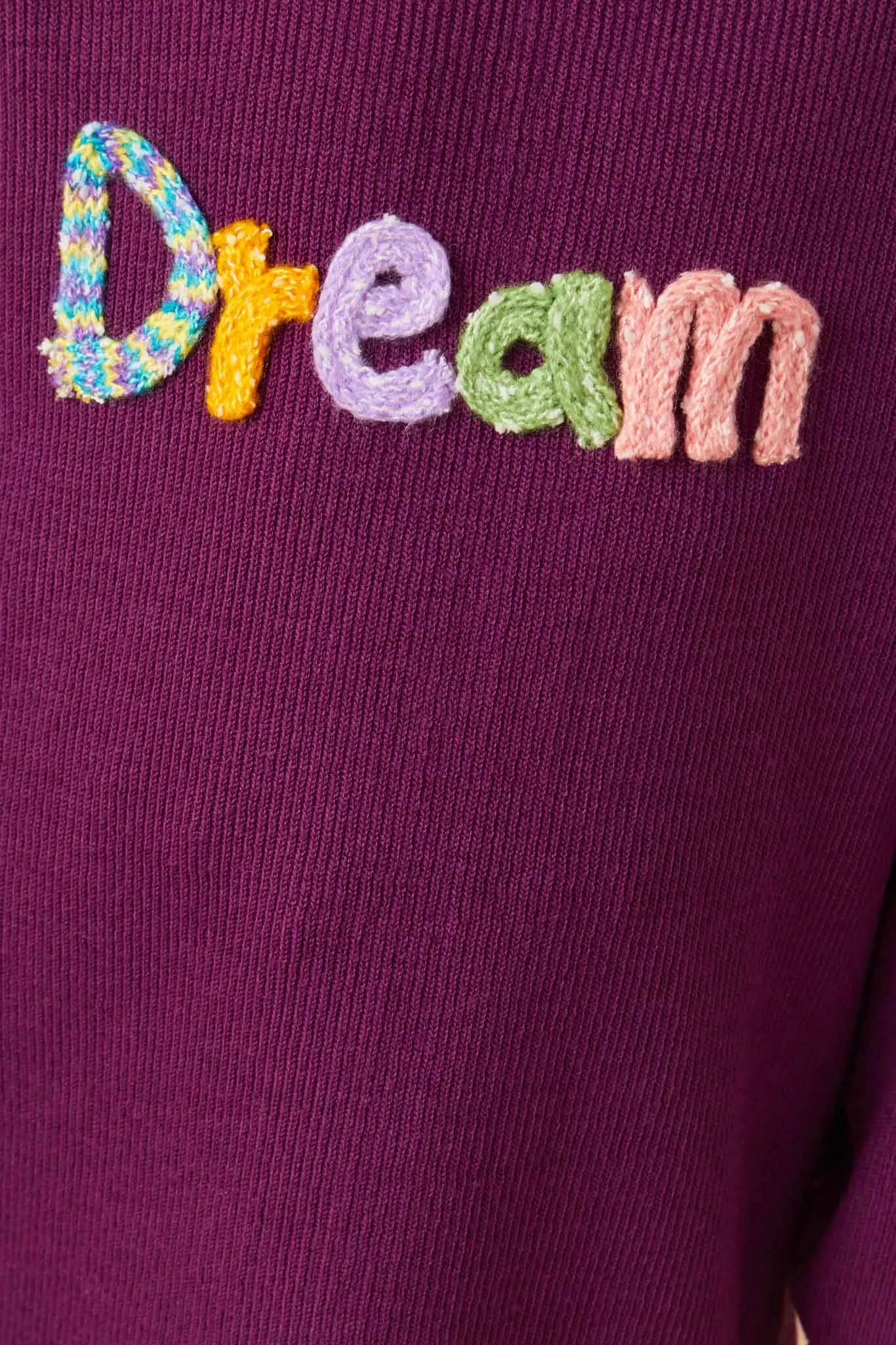 Handknit Pop Up Dream Verbiage Ribbed Knit Top