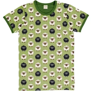 Sheep Adult SS Top